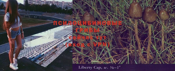 дурь Алзамай