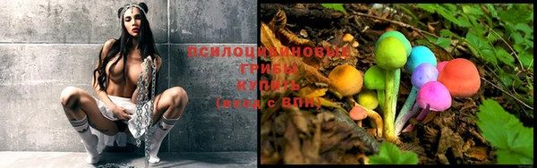 дурь Алзамай
