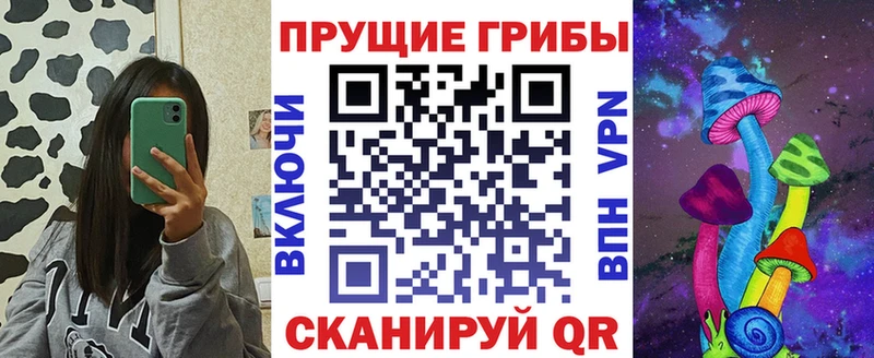 Галлюциногенные грибы мицелий  купить наркоту  Иланский 