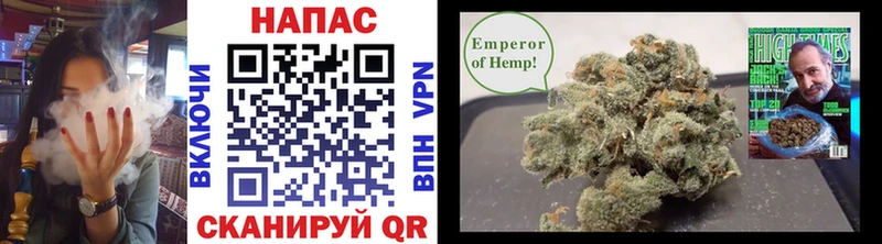 где продают наркотики  Иланский  Марихуана THC 21% 